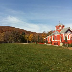 12208451_336645339792702_8646003211443193980_n